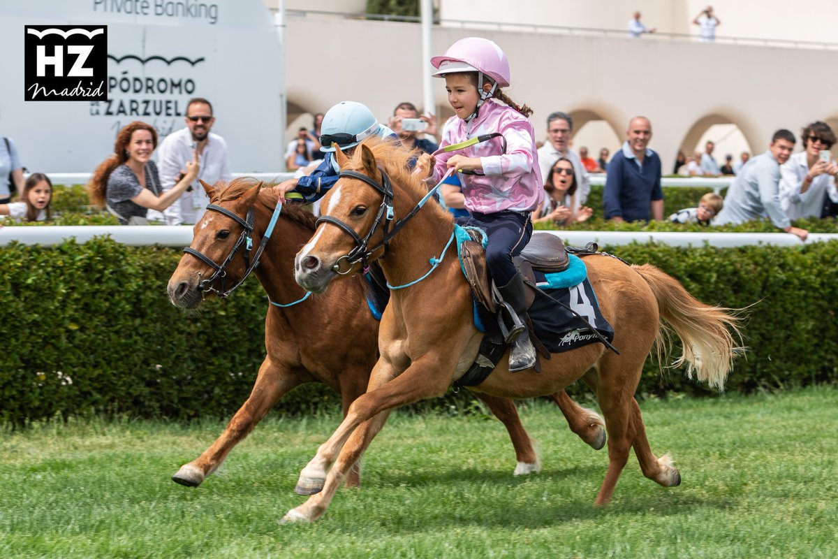 Hipódromo de La Zarzuela tweet media