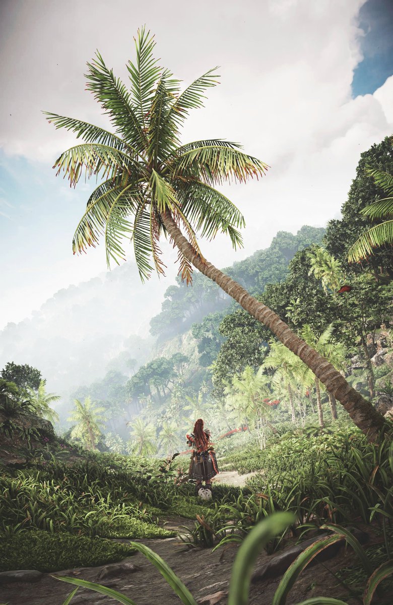 Horizon Forbidden West 🌴

#PhotoModeMonday