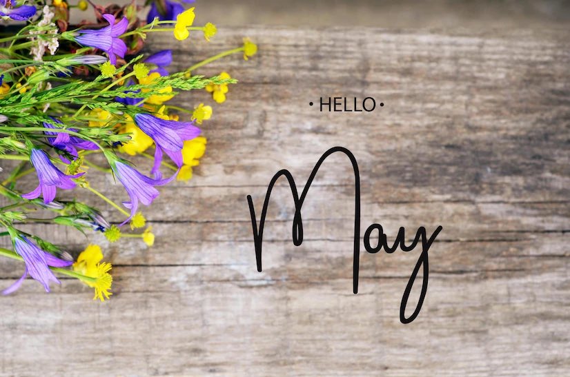 Good morning world. Happy bank holiday U.K. friends