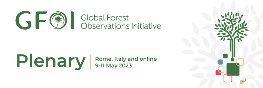 Event Alert🚨! Next week I'll be in Rome at <a href="/gfoi_forest/">GFOI</a> with incredible people, including <a href="/yhasmoura/">Dr Yhasmin M Moura (they/them/she)</a>! Who will be there? 
Very excited to meet my old friends and also to get to know more of my twitter colleagues in person!
🌳🌳🛰️🛰️🇧🇷🇧🇷
#EOchat #gischat #Amazon #forest #carbon