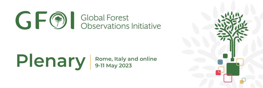Event Alert🚨! Next week I'll be in Rome at @gfoi_forest with incredible people, including @yhasmoura! Who will be there? Very excited to meet my old friends and also to get to know more of my twitter colleagues in person! 🌳🌳🛰️🛰️🇧🇷🇧🇷 #EOchat #gischat #Amazon #forest #carbon