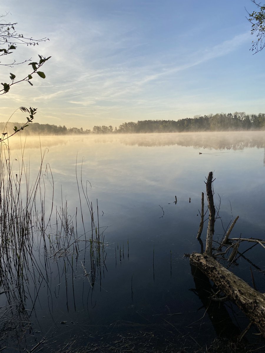 Gleich Feierabend - Gott sei Dank.
In der Nacht 2x alarmiert. 1x um 0.00Uhr und 1x um 2.58Uhr mit NEF.

Aber dieser Anblick am Morgen 😱