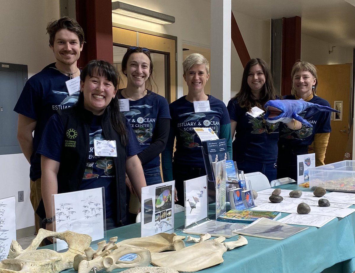 Anne Simonis tweet media