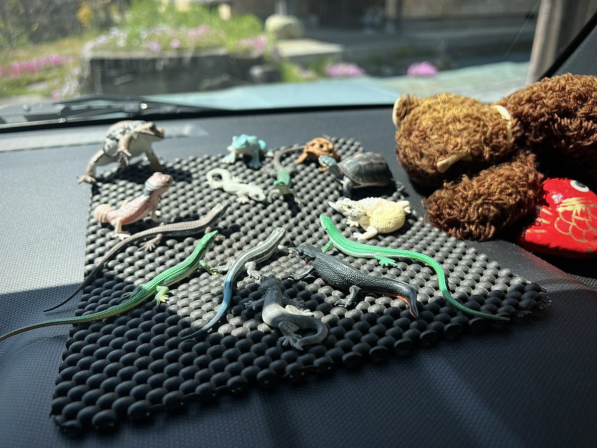 Q1gId's tweet photo. 運転たのしい https://t.co/kI2QKxrtCp