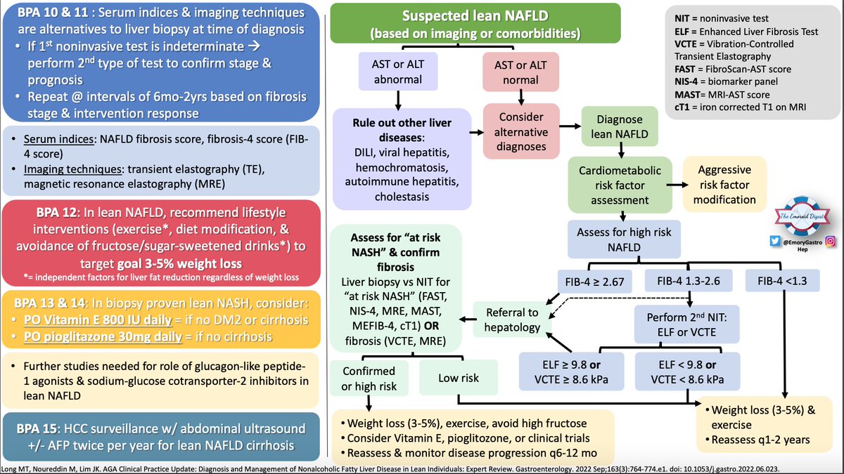 EmoryGastroHep's tweet photo. 🔥🔥 Emoroid Digest 🔥🔥

What is lean NAFLD? Non invasive testing vs liver biopsy? Check out Dr. Veeramachaneni’s (@hima_vee) visual summary on @AmerGastroAssn expert review on lean NAFLD! It includes a high yield algorithm!

#EmoroidDigest #GITwitter #MedTwitter #livertwitter https://t.co/eGs6SPhVp0