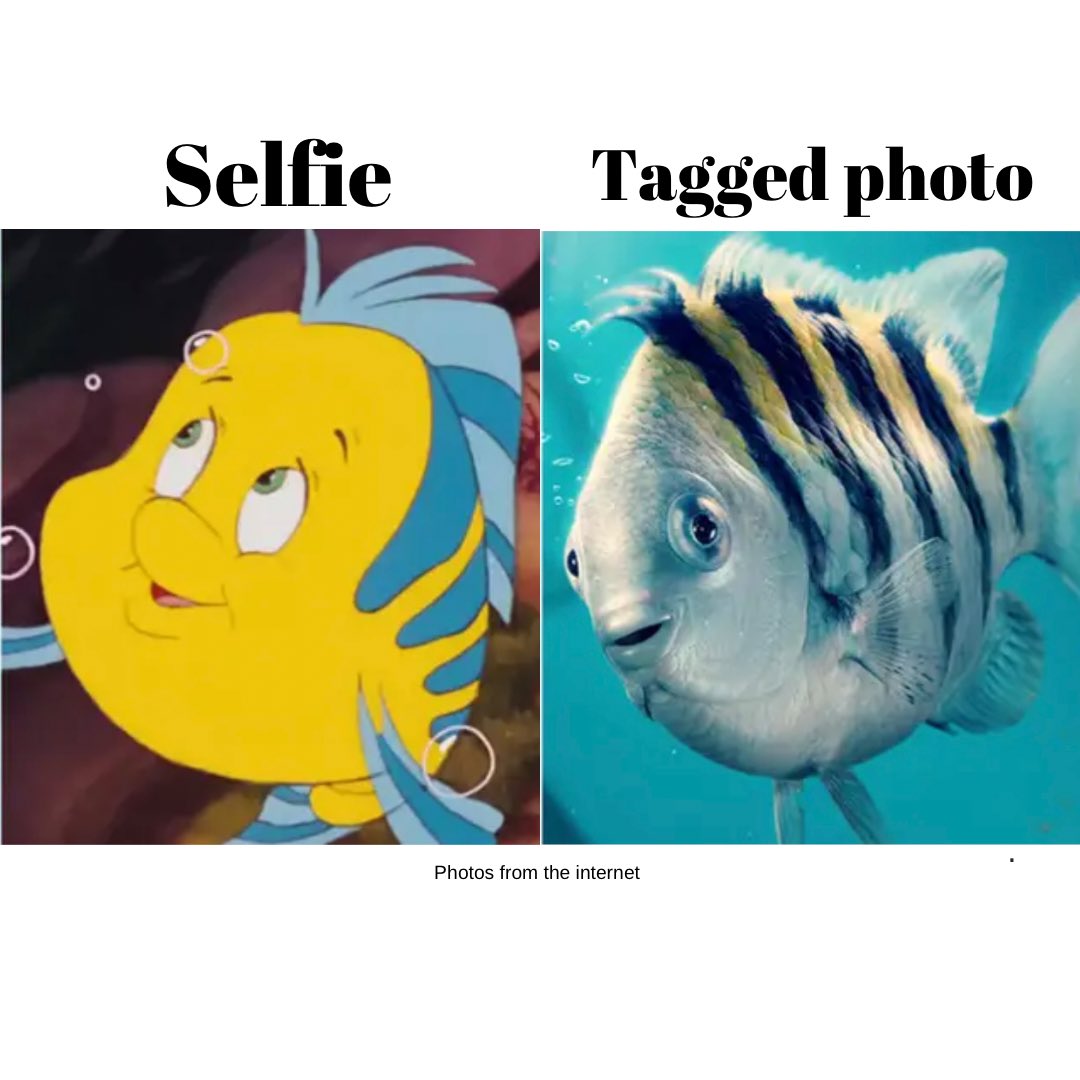 lovestalgia's tweet photo. With everyone in an uproar over #Flounder, I made this meme.. #TheLittleMermaid https://t.co/tjKlgNZFor