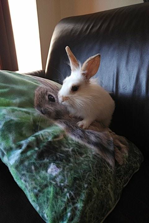 Flashbacks tweet media