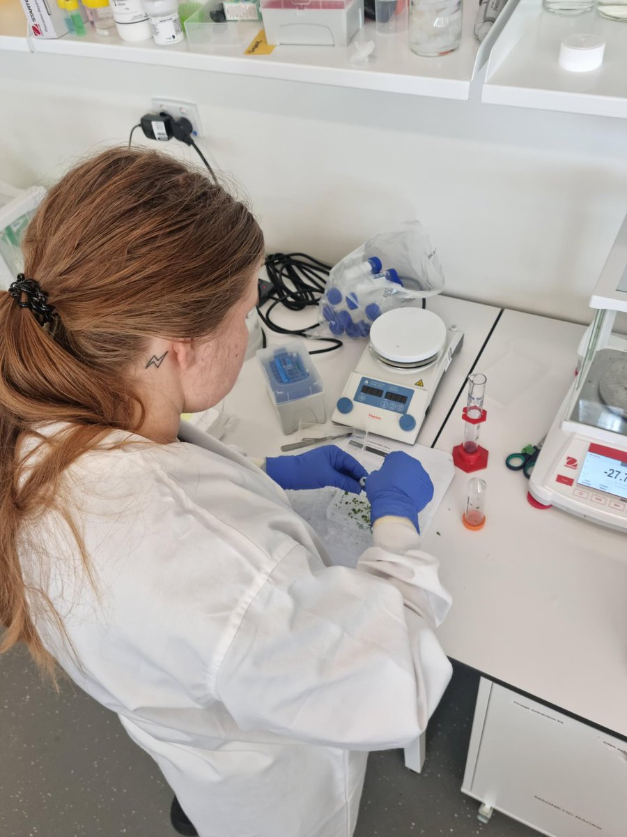 DinsdaleLab tweet media