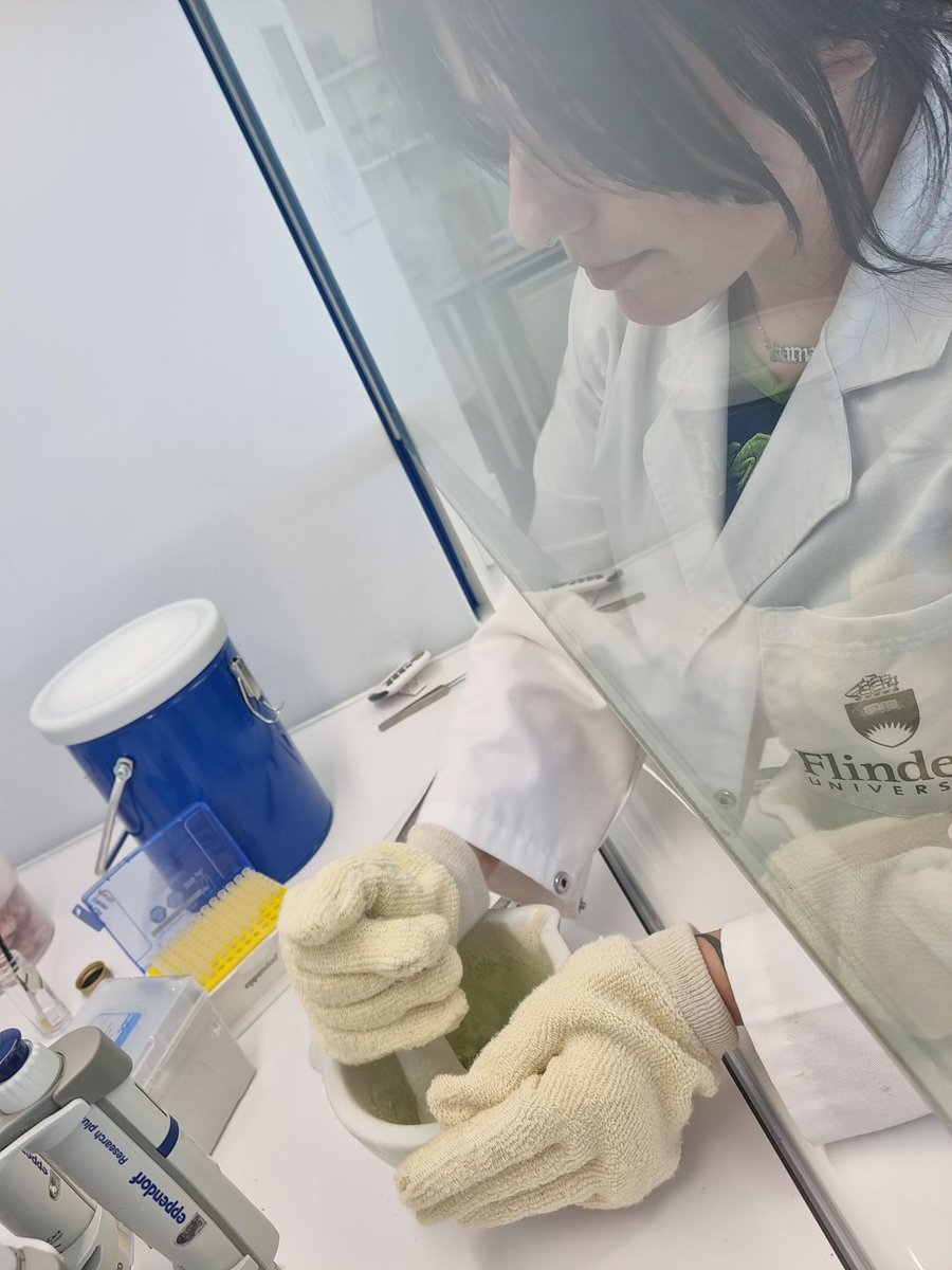 Honours students took a break from microbes and got some experience extracting DNA from plant tissue 🧬