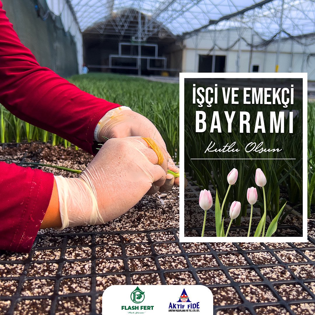 Tüm emekçilerimizin #1Mayıs Emek ve Dayanışma Günü Kutlu Olsun 🌹