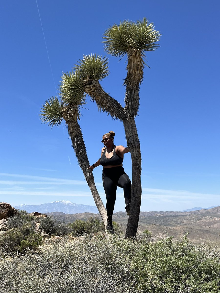 Just entered my 30s and more adventurous than ever 🎂

Crushed a 3 mile hike in Joshua Tree over 5,000 ft. in elevation