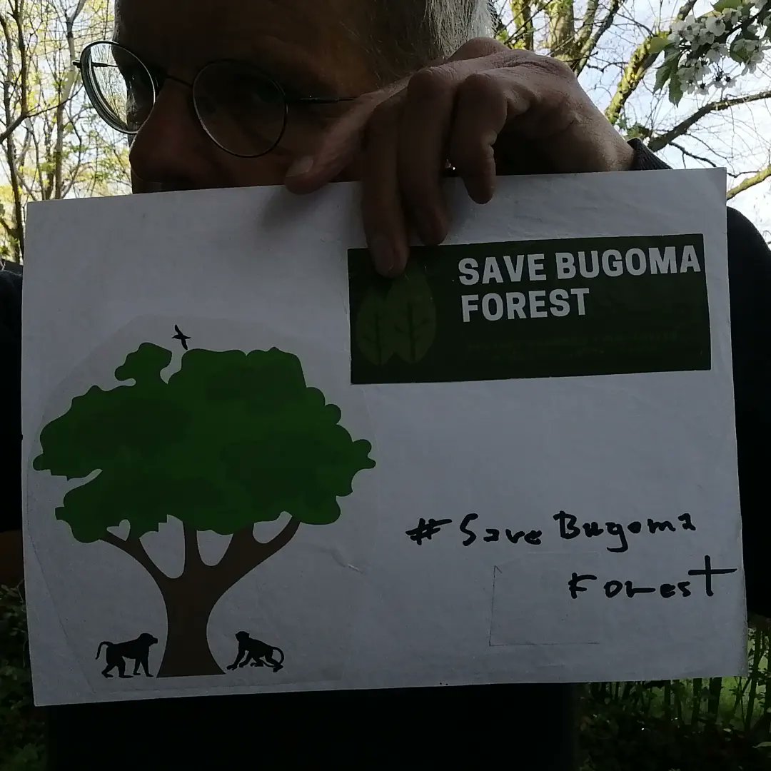 endelstamberg's tweet photo. I am Endel Stamberg, a climate activist from Germany. Uganda forest cover is shrinking. And one of the forest in Uganda has been sold for agribusiness.  I’m calling upon activists around the world to add their voices on mine and #SaveBugomaForest! 
@KaoHua3
@Greenpeace https://t.co/up7Yjs2l6Q