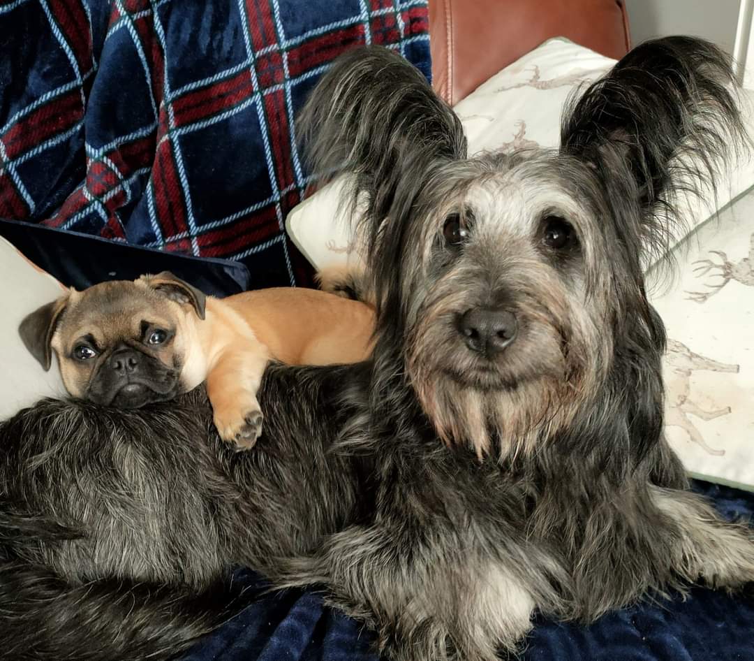 Awww so cute totsie and buck