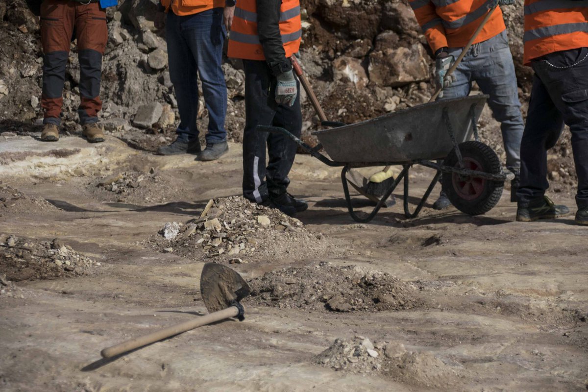 Newsbook.com.mt tweet media