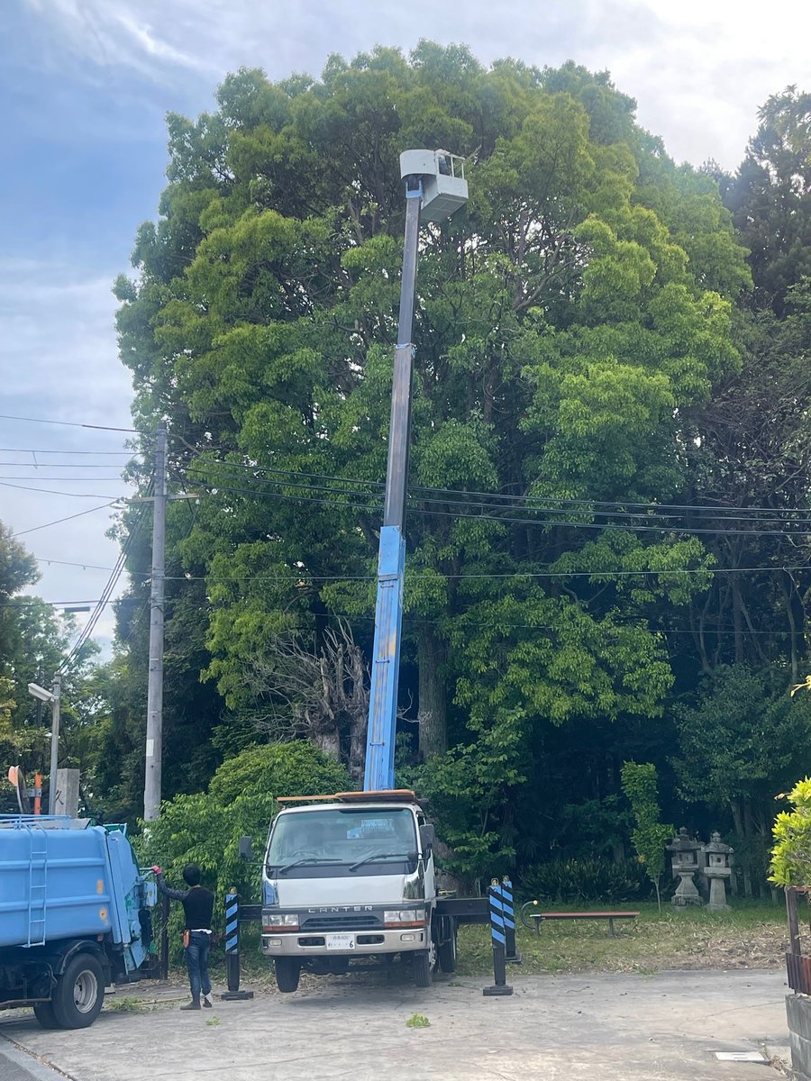 4月27日～29日境内の樟、樫等の巨木の伐採を実施しました。今年は台風や強風などで思わぬ事故とならぬよう早めに着手しました。伐採前には神前にて奉告祭を行い、3日間事故もなく作業を終えていただくことができました。
どうぞご参拝時には新緑の森をご堪能ください。