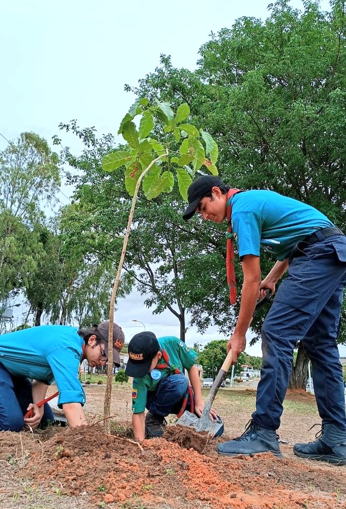 GSKenya's tweet photo. Basta un scout con su gran espíritu e idea para dar cambios positivos en su comunidad. 
#DiaDeLaTierraASV2023 #EnergíaJuvenil #AcciónPorElPlaneta  
@scoutsvenezuela https://t.co/tFeCtvMA1x