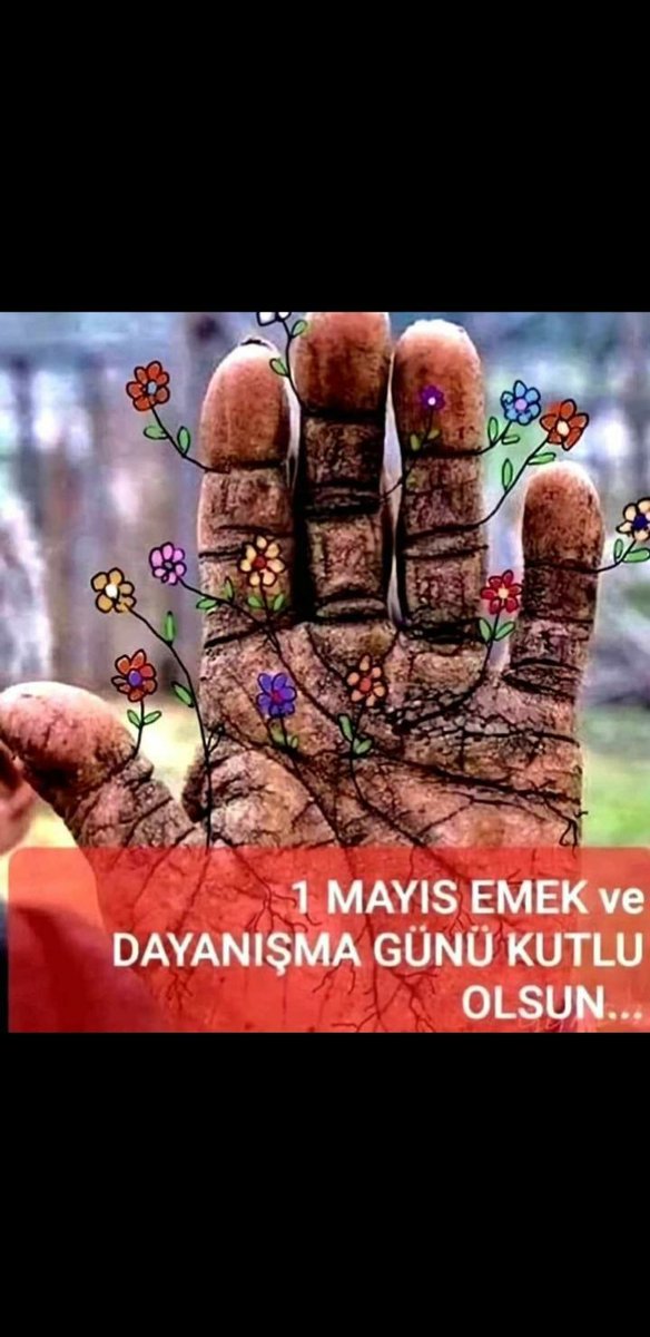 CemileBulbul2's tweet photo. Memurlara tatil edilip işçilerin çalıştığı işçi bayramınız kutlu olsun https://t.co/Kx3JlbXeaS