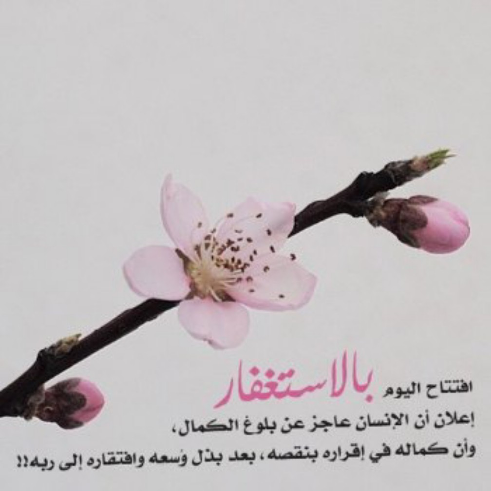 ✨منال✨ tweet media