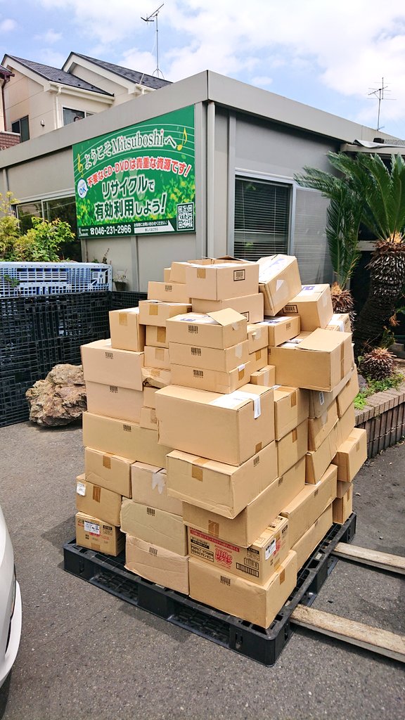 黒熊（くろくま♪） tweet media