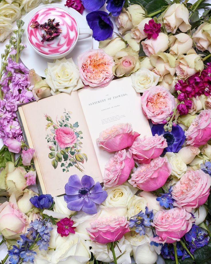 IdaWille3's tweet photo. @EllieEnn03 Good morning, dear Ellie 🌸
Enjoy your day❣️ https://t.co/d59GyN4mvf
