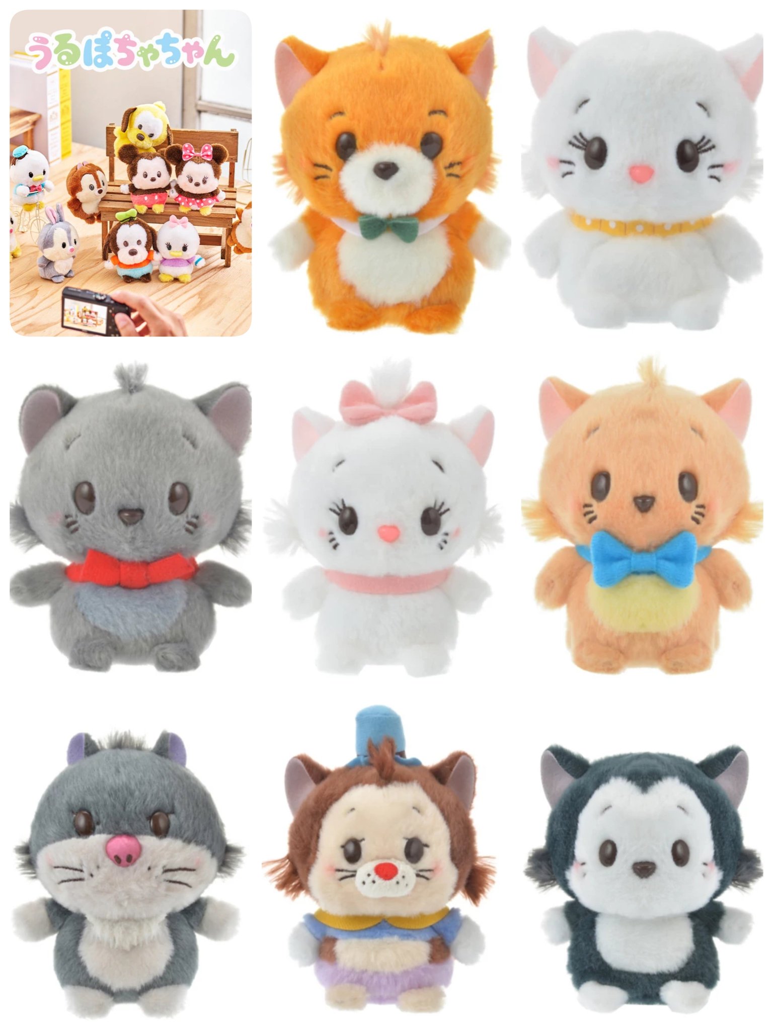Disney - ぽぽしいたけちゃん FvBNVCuaMAEpvIw.jpg:large