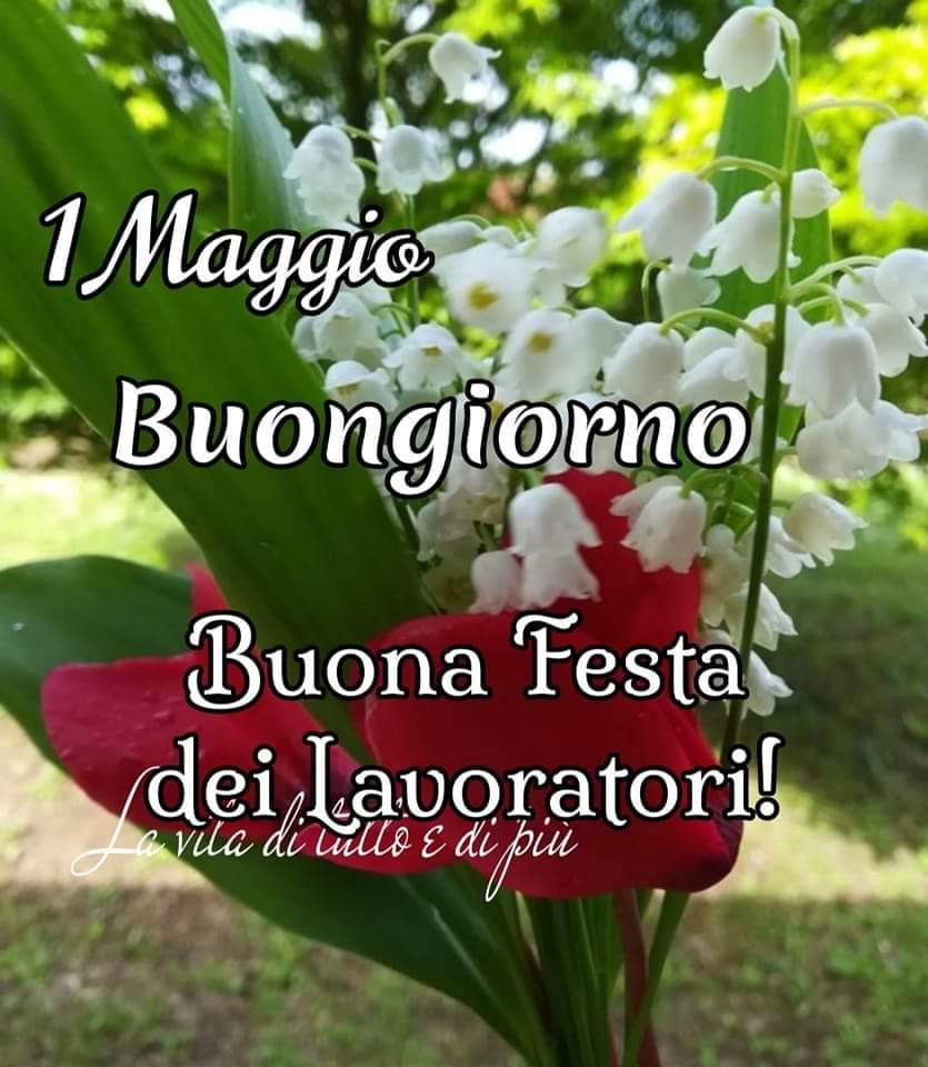ItPelle's tweet photo. E buon giorno https://t.co/TSah6au4ap