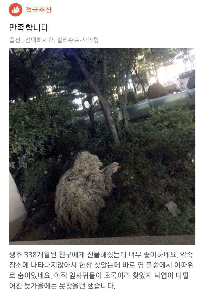 FvBOR--acAEzXXV?format=jpg&name=medium