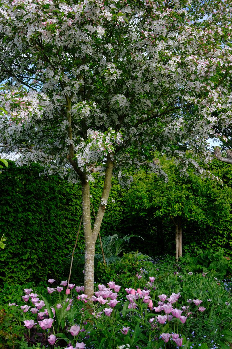 Monty Don tweet media