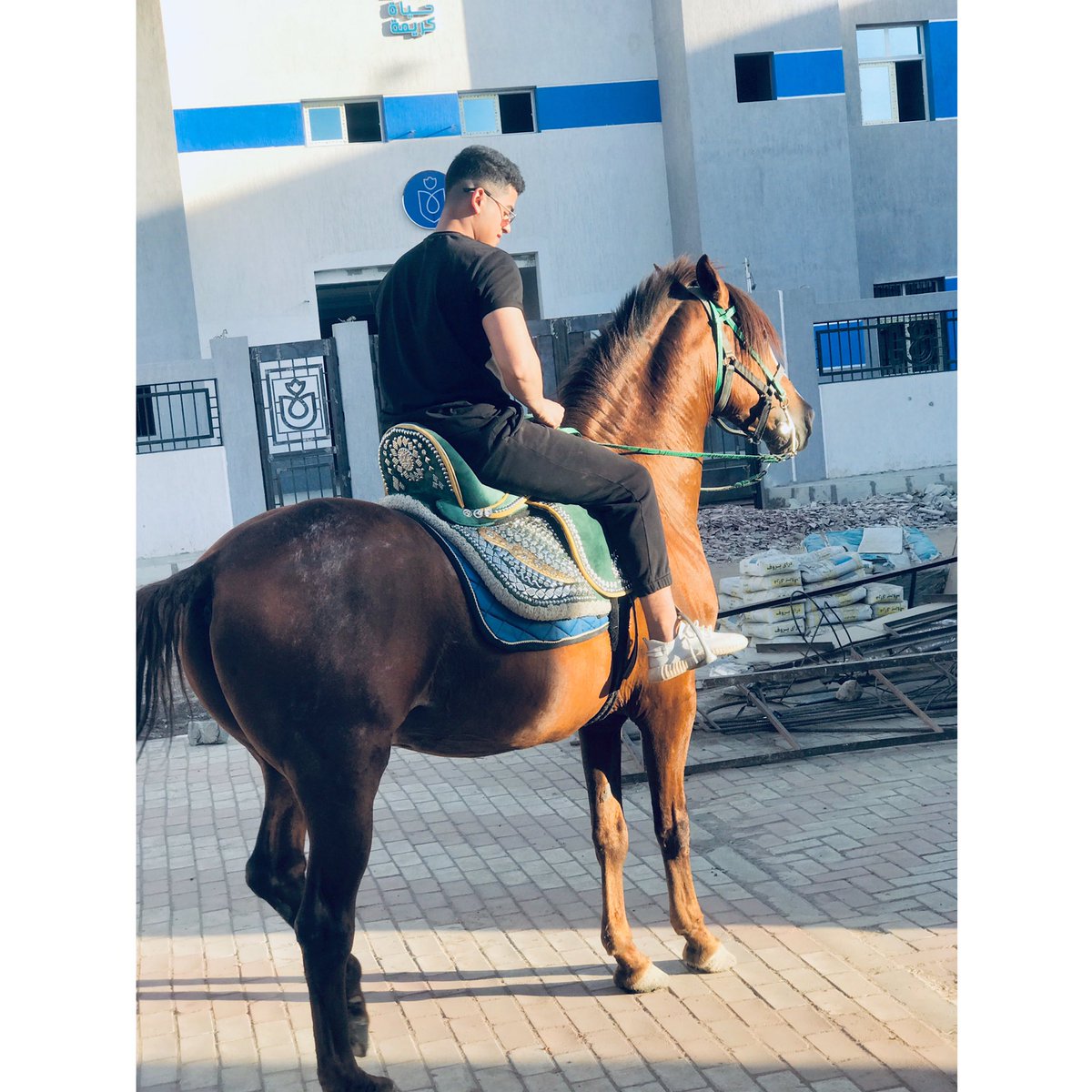 م بتوع لقطه بس لو حضرنا نخطفها ؛"🤴🏻🐎