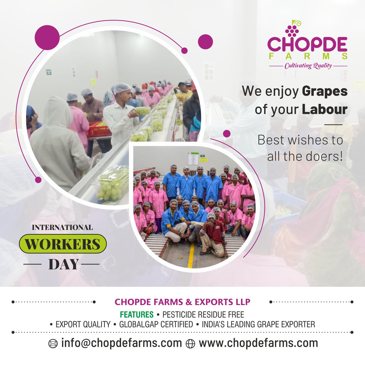 ChopdeFarms's tweet photo. We enjoy Grapes of your Labour, Best wishes to all the doers!
Happy International Workers Day! #InternationalWorkersDay
#chopdefarms #fruitexport #fruit #export #fruits #fruitimport #freshfruit #freshfruits #fruitexporters #iranexport #importexport #organi #exporters https://t.co/iuwNBnoZck