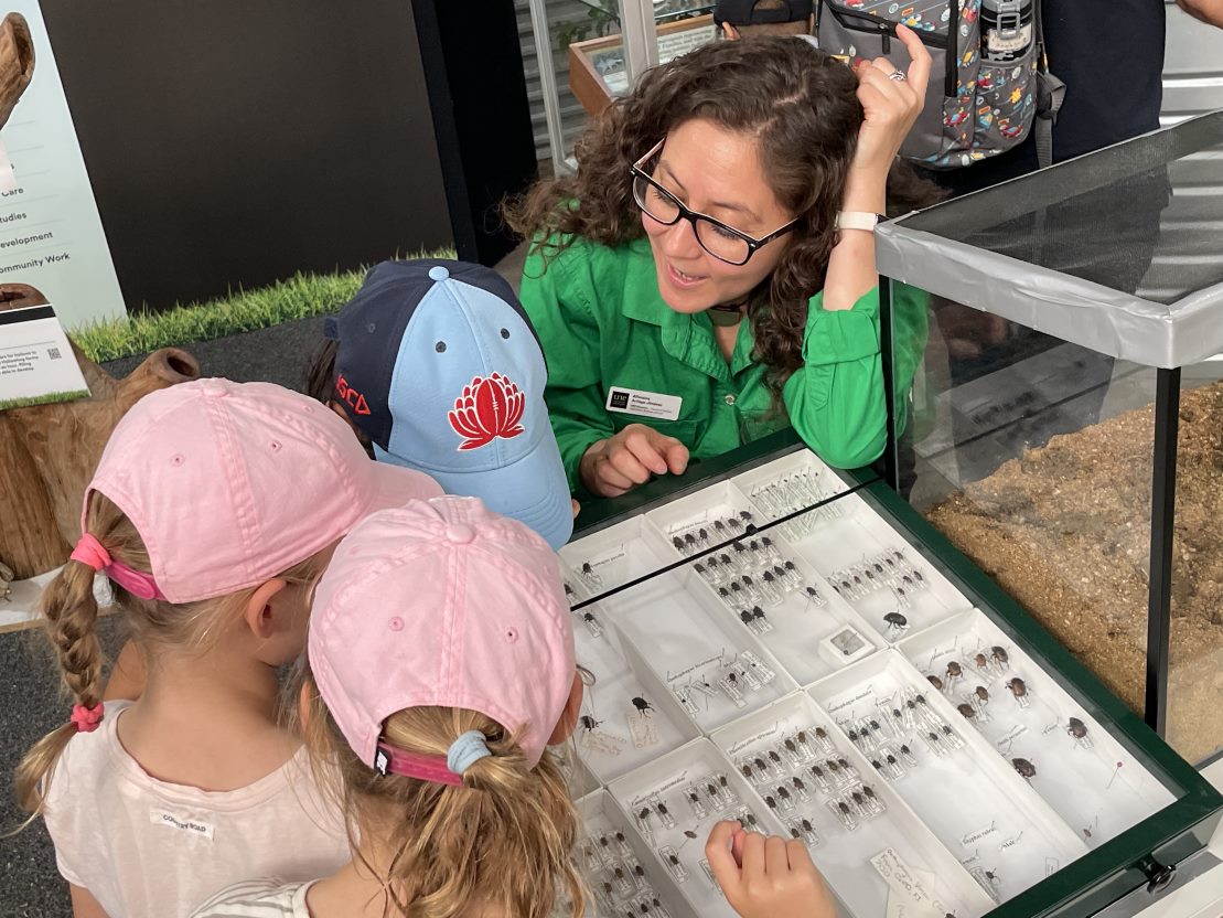 Aarriaga8's tweet image. #MyScienceMay !!

I'm an #entomologist, currently teaching Entomology and IPM at @ERS_UNE. I am also part of the Discovery Voyager team, delivering science activities to kids in norhtern NSW. 
 #wildOz #WomenInSTEM @LetsTalkSciComm