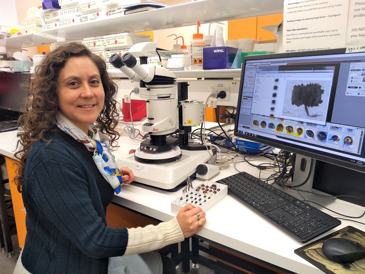 Aarriaga8's tweet image. #MyScienceMay !!

I'm an #entomologist, currently teaching Entomology and IPM at @ERS_UNE. I am also part of the Discovery Voyager team, delivering science activities to kids in norhtern NSW. 
 #wildOz #WomenInSTEM @LetsTalkSciComm