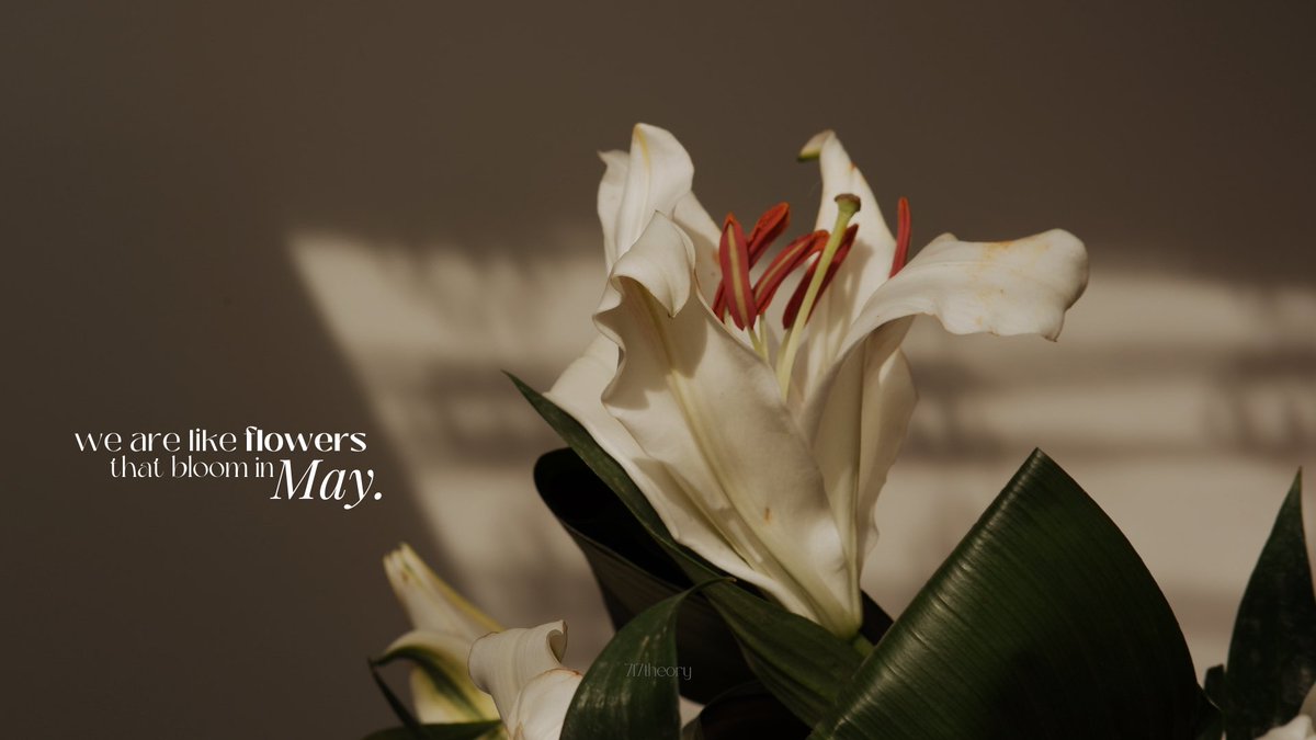 717theory's tweet photo. (💐) we are like flowers that bloom in May. https://t.co/0mbTwoi13q