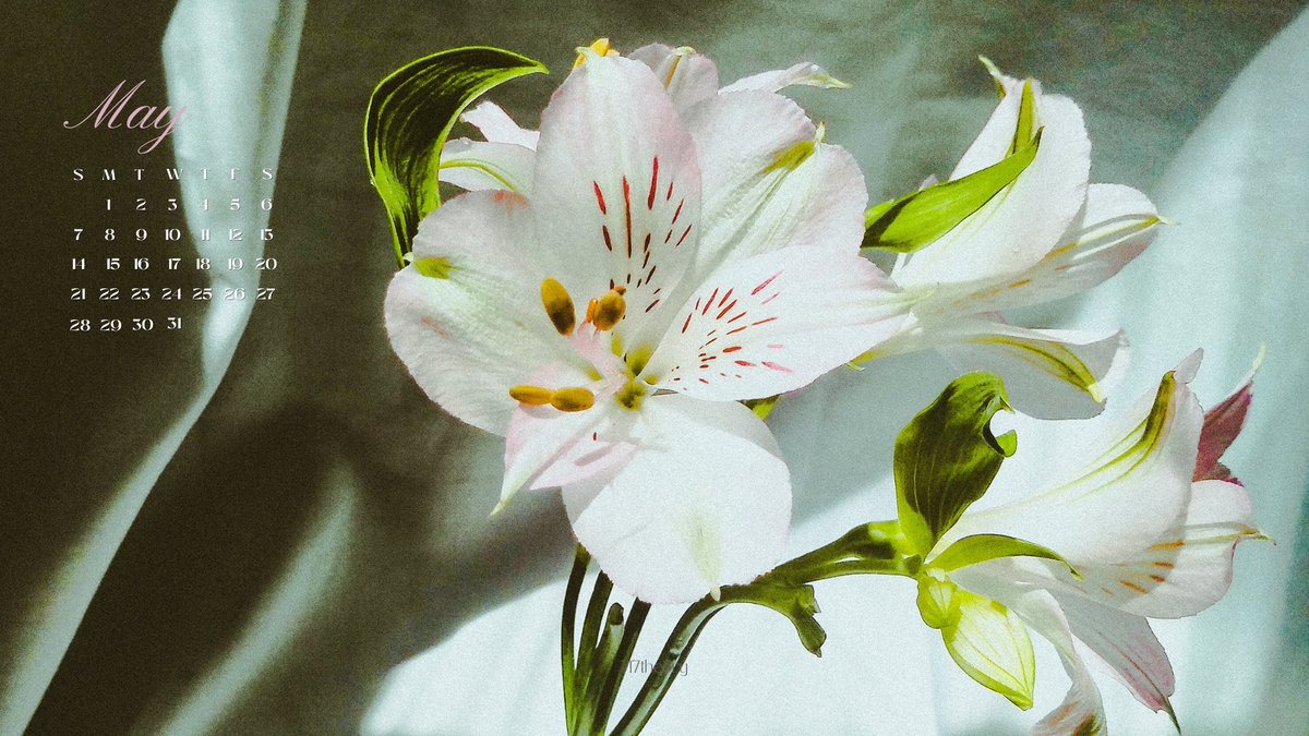 717theory's tweet photo. (💐) we are like flowers that bloom in May. https://t.co/0mbTwoi13q