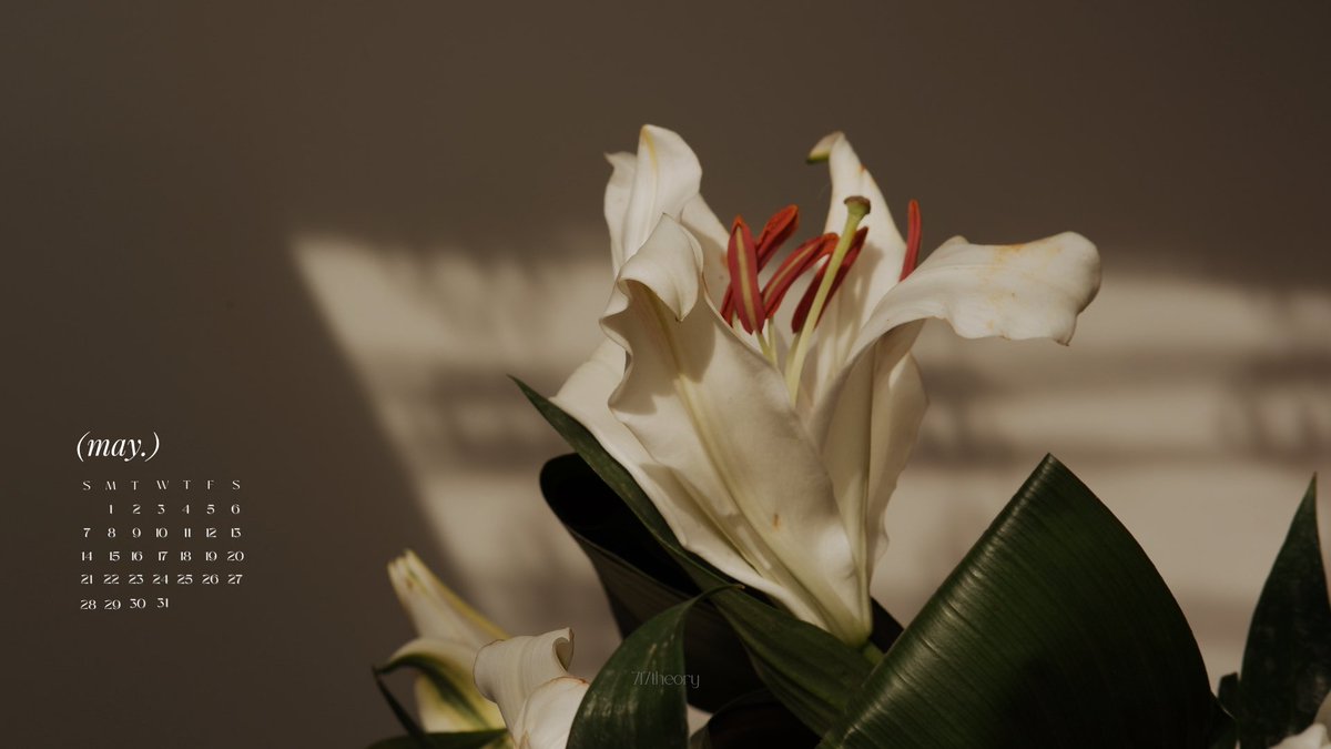 717theory's tweet photo. (💐) we are like flowers that bloom in May. https://t.co/0mbTwoi13q