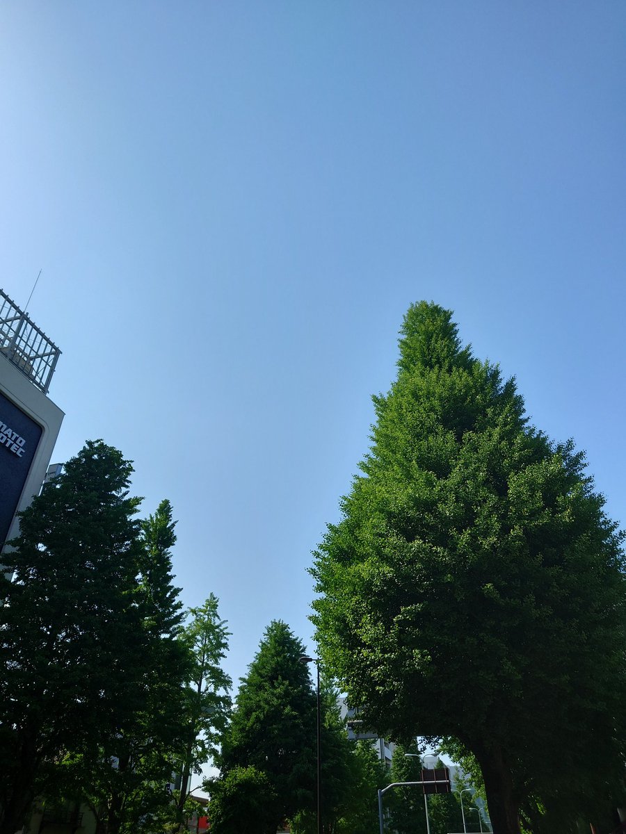 facestretching's tweet photo. 白金台でミーティング。風薫る五月。イチョウ並木も美しい。
マスクが外せない方も、もう外したい方も、 #フェイスストレッチング でお顔をリフトアップしませんか。水曜日のベーシックコースをオススメします。
#スタジオハウ
#フェイスストレッチング協会
#表情筋エクササイズのベーシックコース https://t.co/R6wWV5yFSW