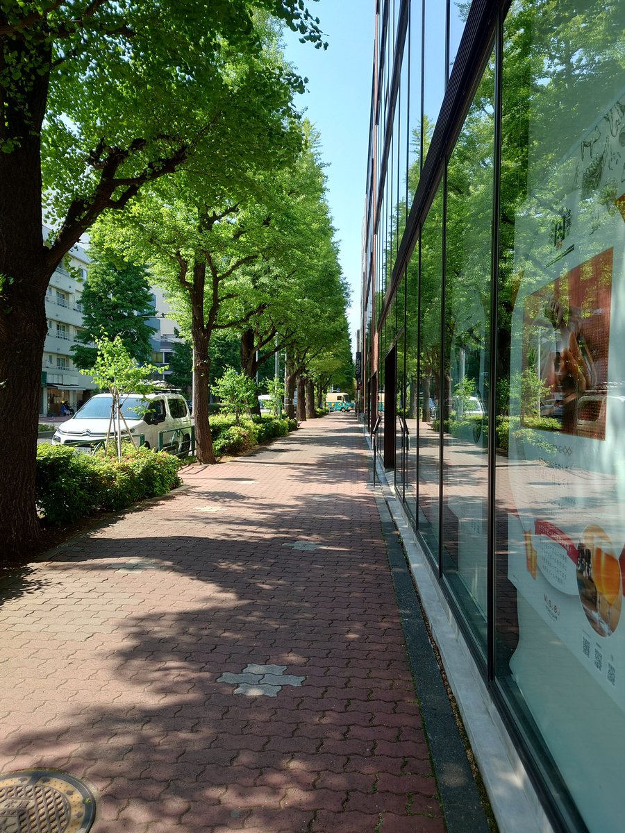facestretching's tweet photo. 白金台でミーティング。風薫る五月。イチョウ並木も美しい。
マスクが外せない方も、もう外したい方も、 #フェイスストレッチング でお顔をリフトアップしませんか。水曜日のベーシックコースをオススメします。
#スタジオハウ
#フェイスストレッチング協会
#表情筋エクササイズのベーシックコース https://t.co/R6wWV5yFSW