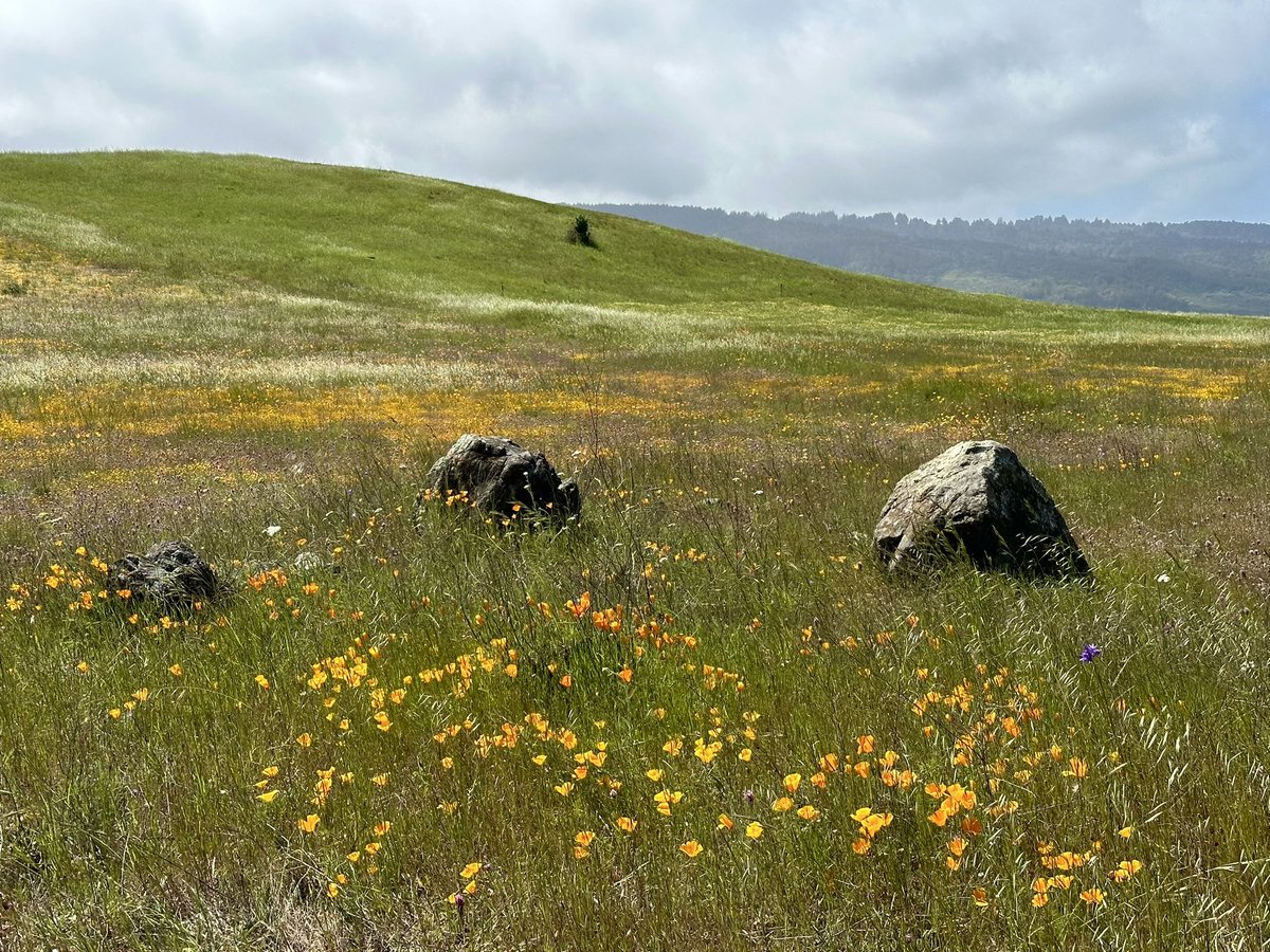 At Edgewood Preserve today 😍