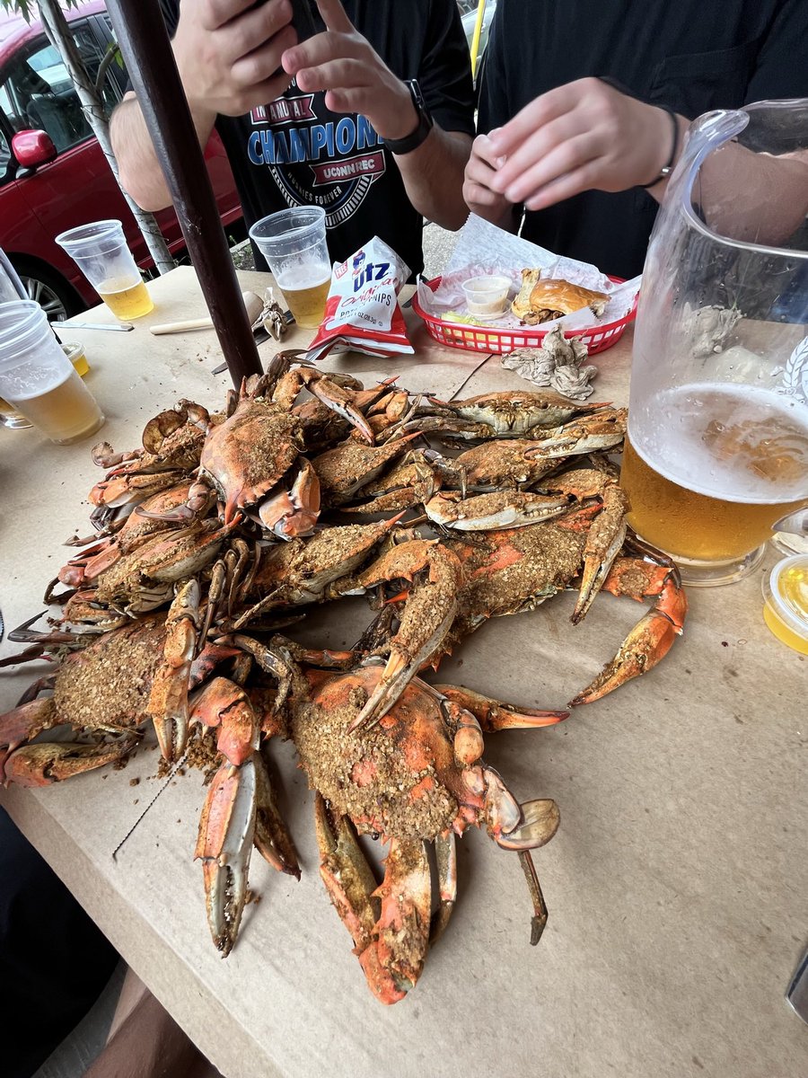 tomcotton07's tweet photo. Encountered the final boss of this tweet today (photo 4) https://t.co/LiBqwtHFm0