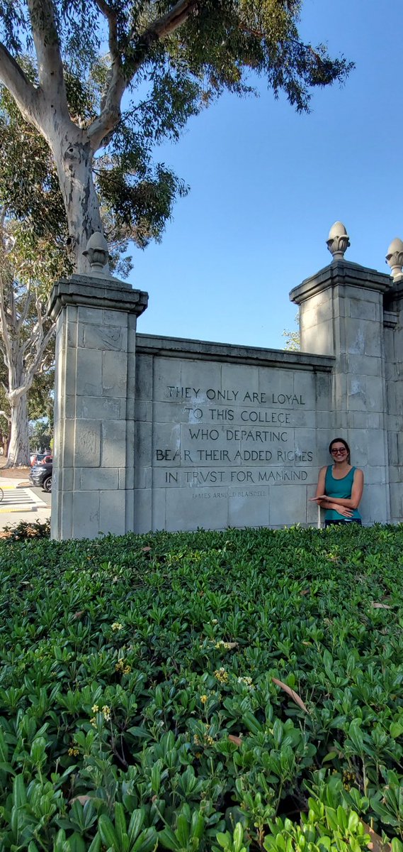 Amber Datta tweet media