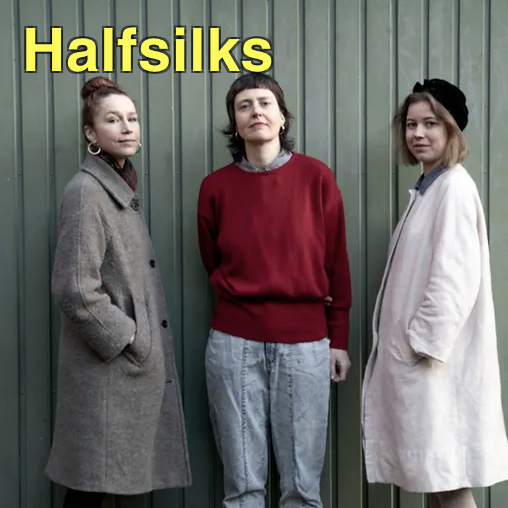 Die DNA von Halfsilks reicht tief in die Berliner Indie-Szene: Point No Point, Gym Tonic, Matching Outfits, Canyon Spree, Soft Grid – um nur einige der Bands zu nennen, aus denen man die drei Mitglieder kennen könnte. 
halfsilks.bandcamp.com/album/cupid-op…