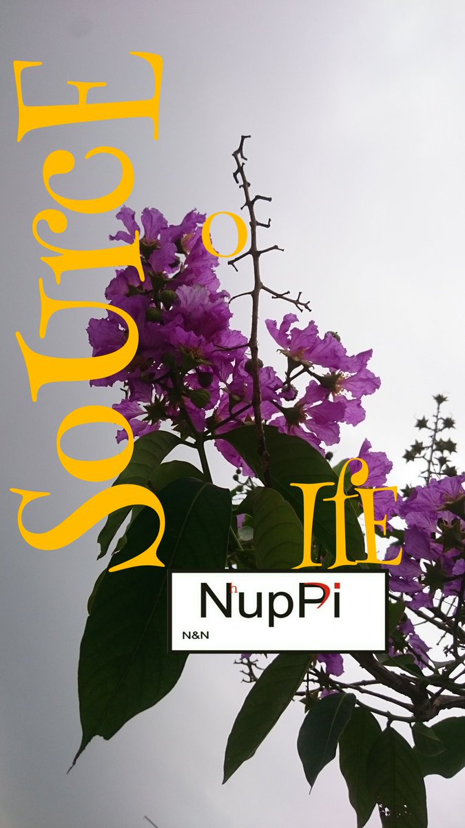 NHUPPI's tweet photo. #Environment 
#SustainableFashion 
#NHUPPI https://t.co/4sHry3eIqJ