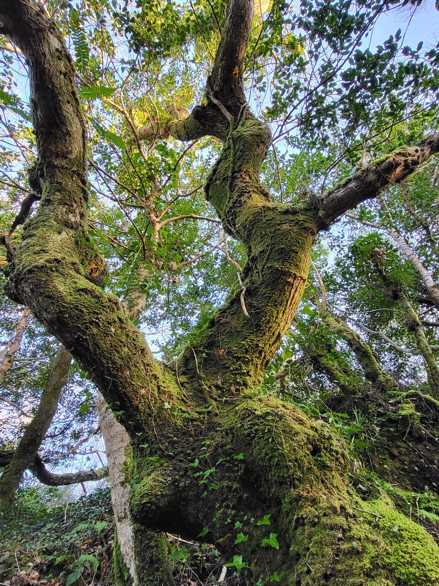 Eoghan Daltun 🌍 tweet media