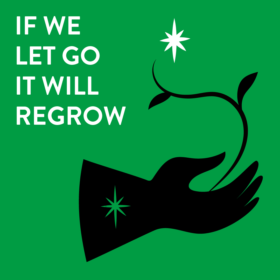 wildcardrewild's tweet photo. Liberate your lawn!
Wild Card support #NoMowMay 🌱🦋

With over 23 million gardens in the UK, even the smallest wild, grassy patches count in a #NatureCrisis 🦗

If we 'let go, it will regrow' &amp; deliver enormous gains for nature, communities &amp; climate 🌿🐞🧑‍🤝‍🧑

@Love_plants https://t.co/I5gKjDs6ov