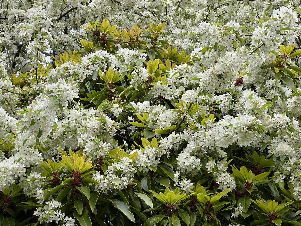 Marie-Louise Agius tweet media