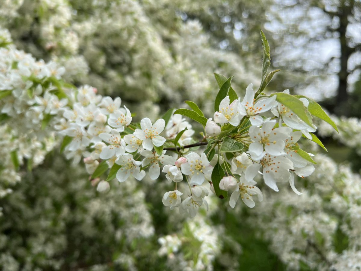 Marie-Louise Agius tweet media