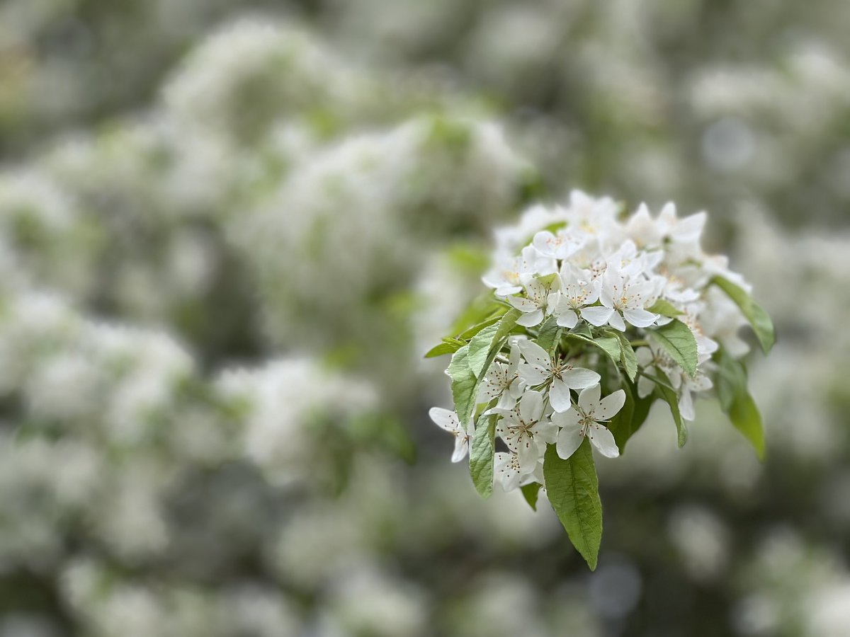 Marie-Louise Agius tweet media