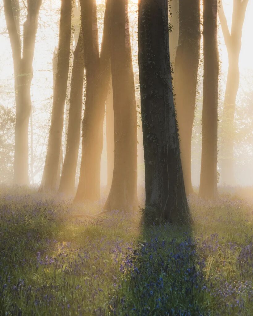 And we are off... 3rd morning in a row been up before 4 all last minute decisions ...relaxing bank holiday weekend 😂 but mornings like yesterday are why we do it.
.
Using to <a href="/omsystem/">MANISH SOLANKI</a>.cameras 40-150mm f4 Pro (80-300mm ff equivalent) the into the mist… instagr.am/p/CrsG2z6qQVW/