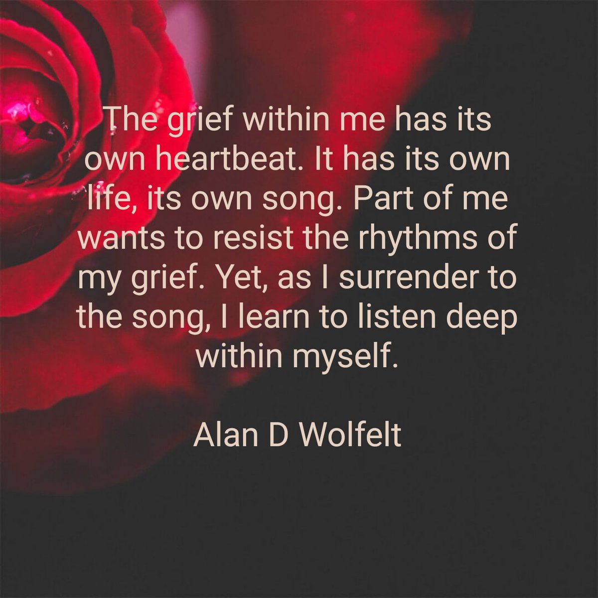 I am reading Understanding Your Suicide Grief by Alan D. Wolfelt. Excellent book. #SuicideAwareness #suicide #Grief #grievingparents #childloss #loss