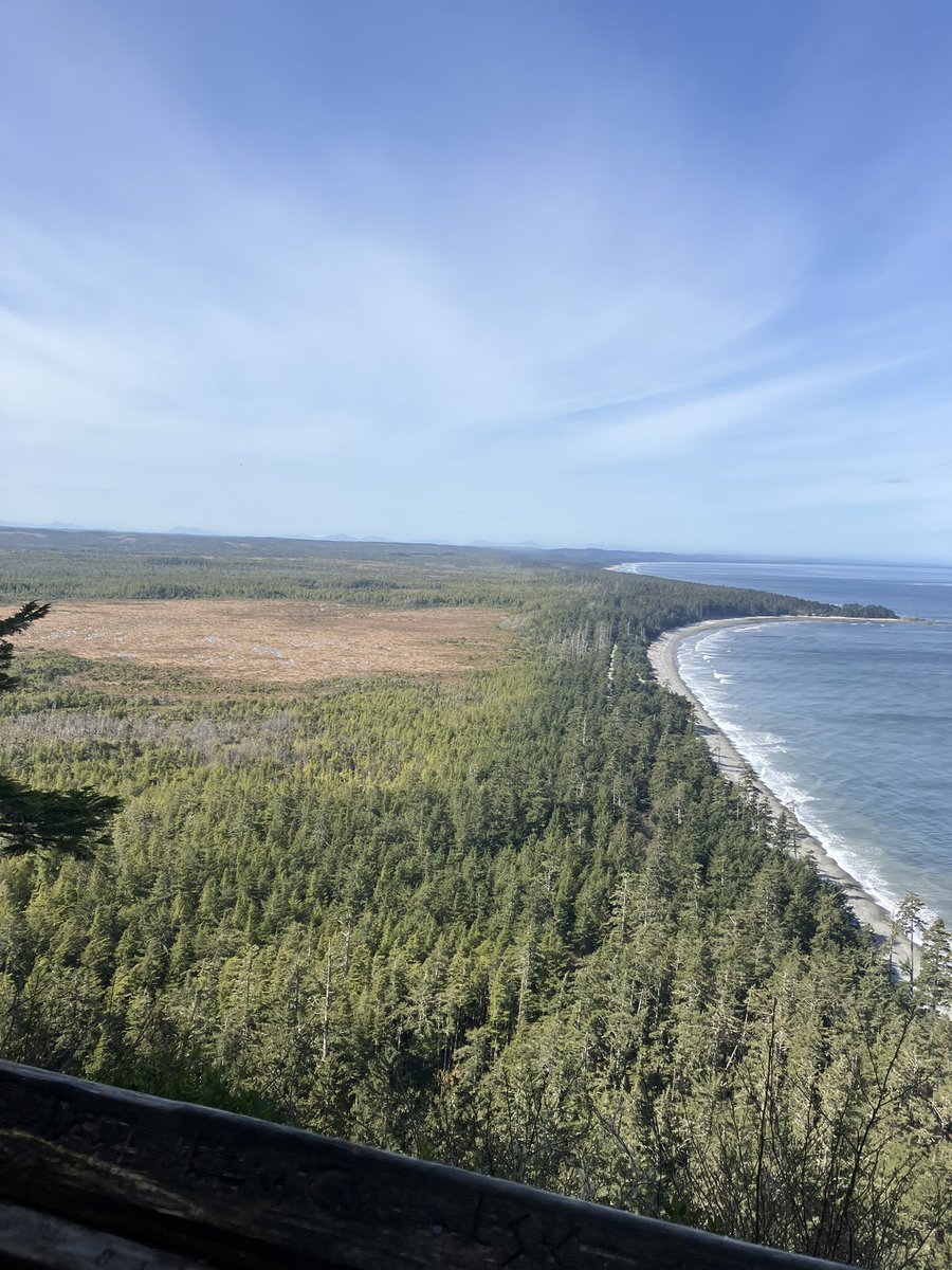P_R_Thompson's tweet photo. I’ve just made it home from the @LiberEroFellows retreat in Haida Gwaii. Seeing the natural and cultural beauty of the islands and the Haida people was a life-changing experience. It was also wonderful to make connections with all the fellows. See y’all soon! https://t.co/1ASehA7ID6